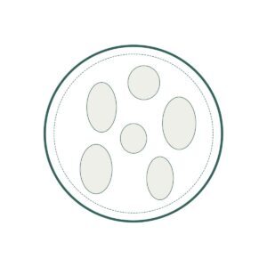 Circular petri dish showing seven light-gray oval cells inside.