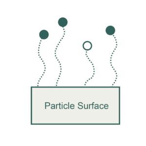 Stylized schematic of five dotted particle paths rising from a rectangular label that reads 'Particle Surface'.