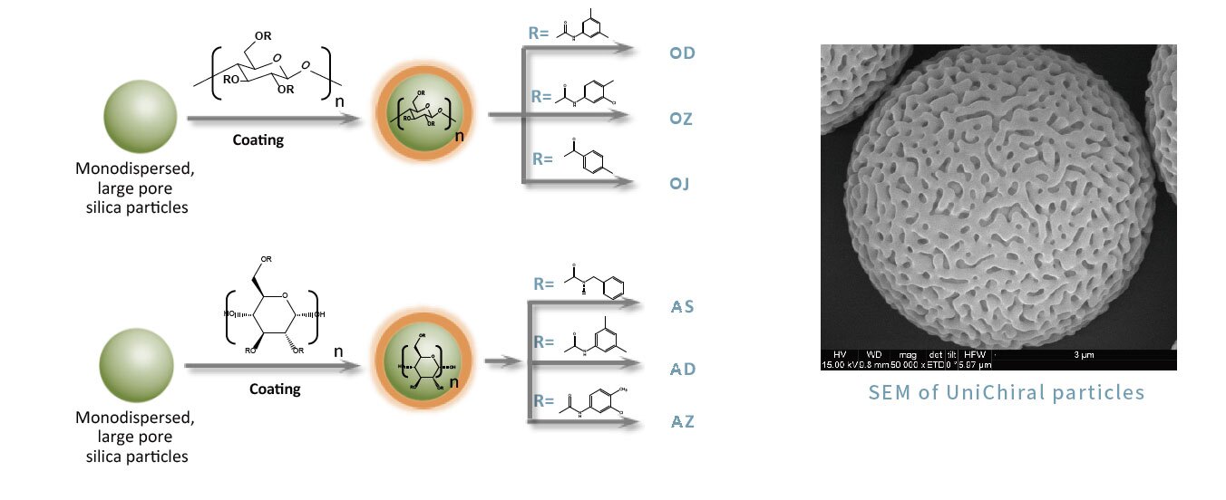 Chiral-11 | BioVanix