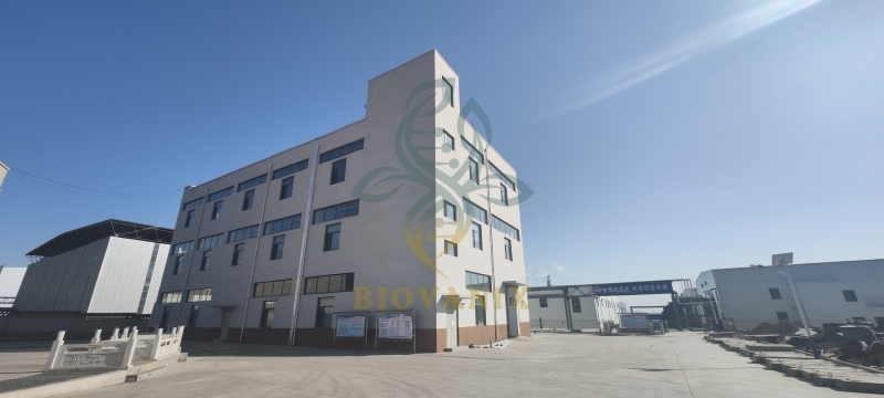 1705728770520 #imageTimage_timage_title