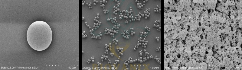 biovanix chromatographyresin 2 | BioVanix