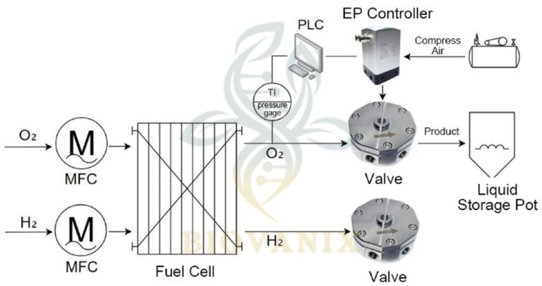 gas back pressure valve