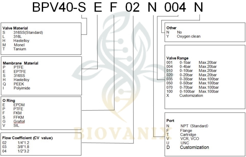 gas back pressure valve