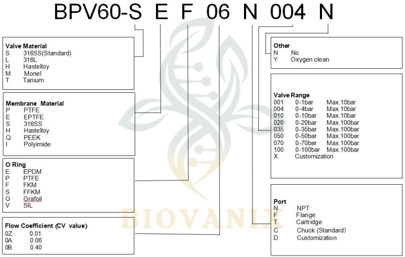 gas back pressure valve