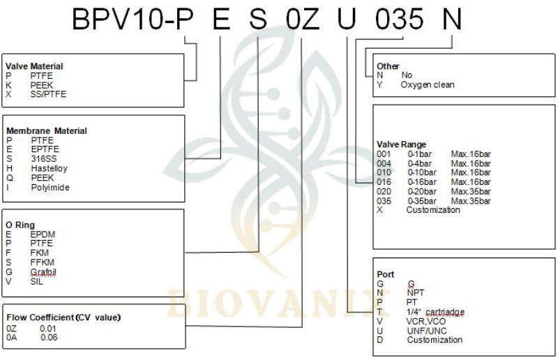 gas back pressure valve