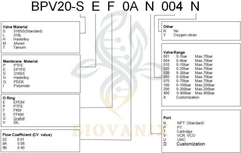 gas back pressure valve