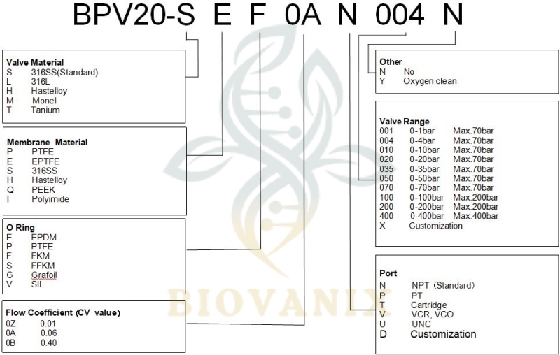 BPV-20 gas back pressure valve | BioVanix gas back pressure valve