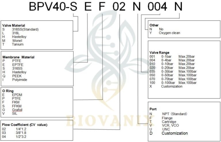 gas back pressure valve