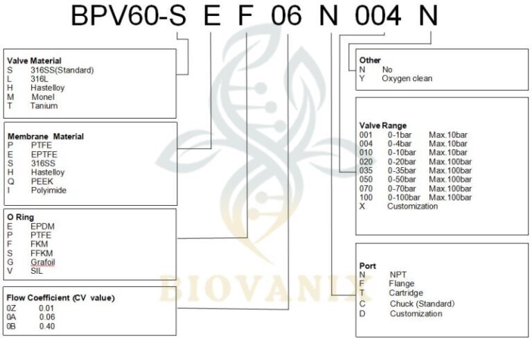 gas back pressure valve