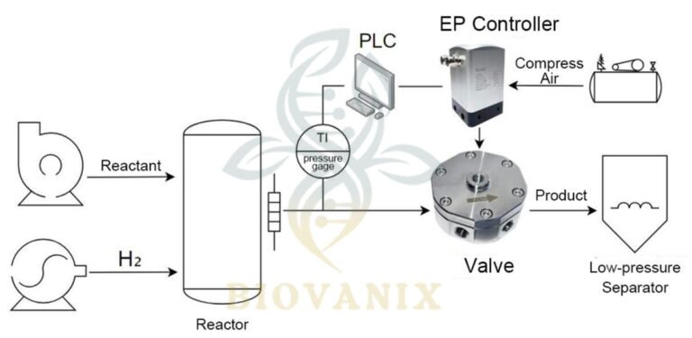gas back pressure valve