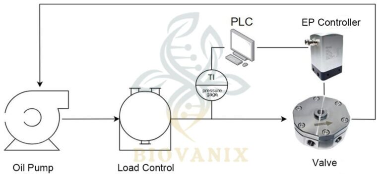 gas back pressure valve