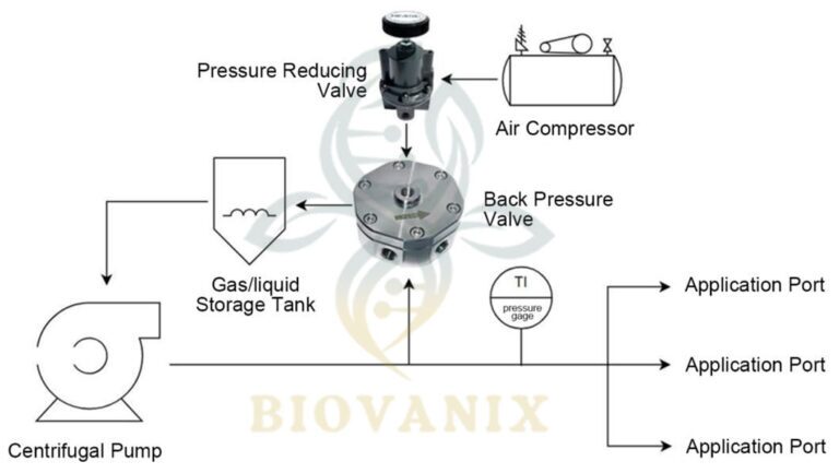 gas back pressure valve