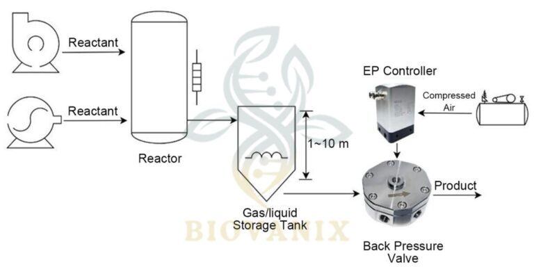 gas back pressure valve
