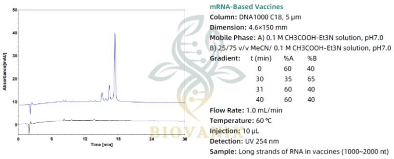Biovanix DNA 1000-C18 HPLC Column | BioVanix