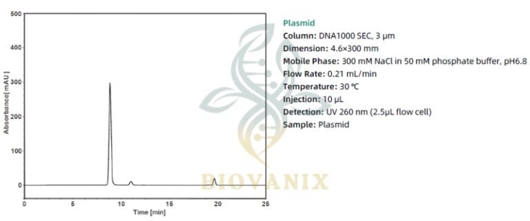 Biovanix DNA 1000-SEC HPLC Column | BioVanix