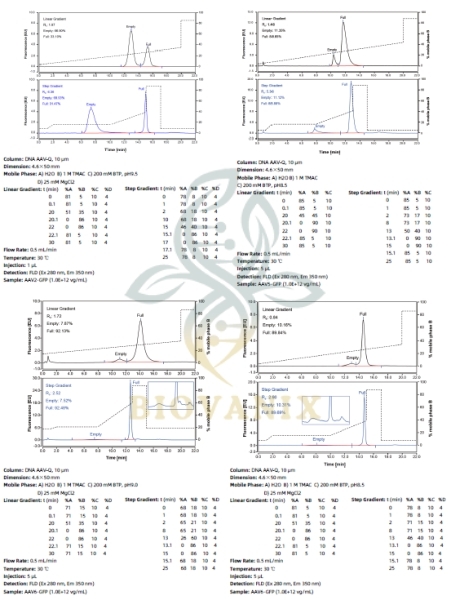 Biovanix DNA AAV-Q HPLC Column | BioVanix