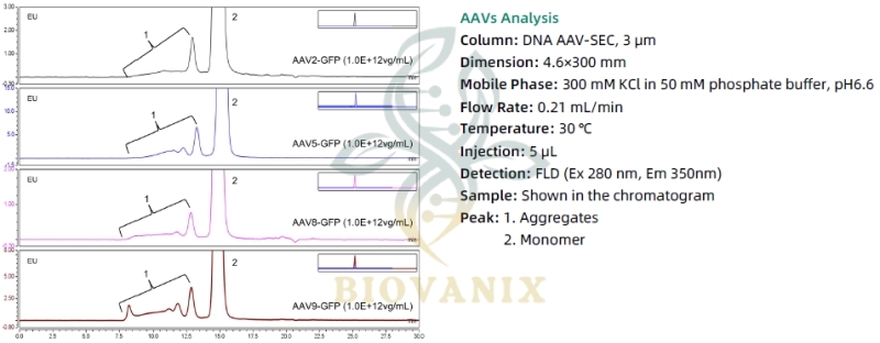Biovanix DNA AAV-SEC HPLC Column | BioVanix