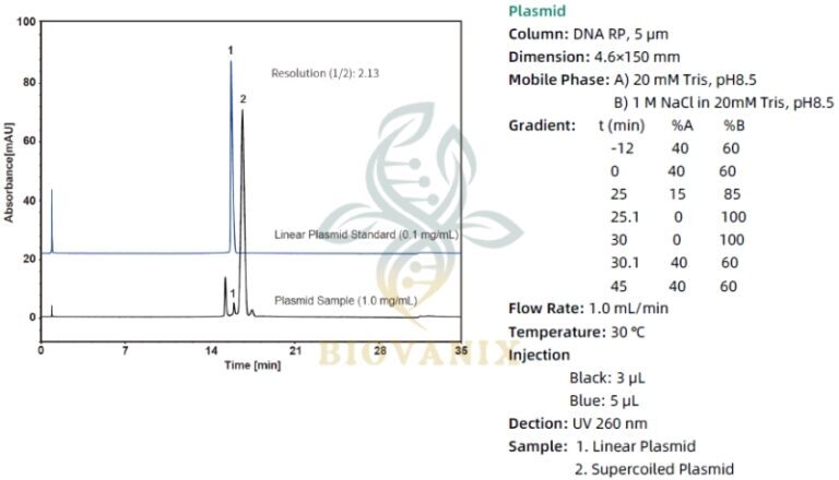 Biovanix DNA RP HPLC Column | BioVanix