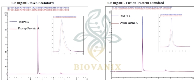 Prosep Protein A column-2 | BioVanix