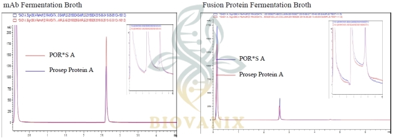 Prosep Protein A column-3 | BioVanix